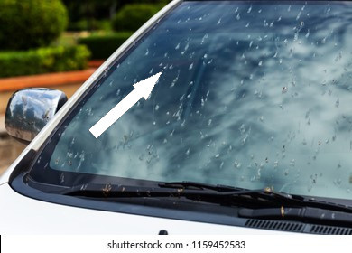    Чистое лобовое стекло без забот