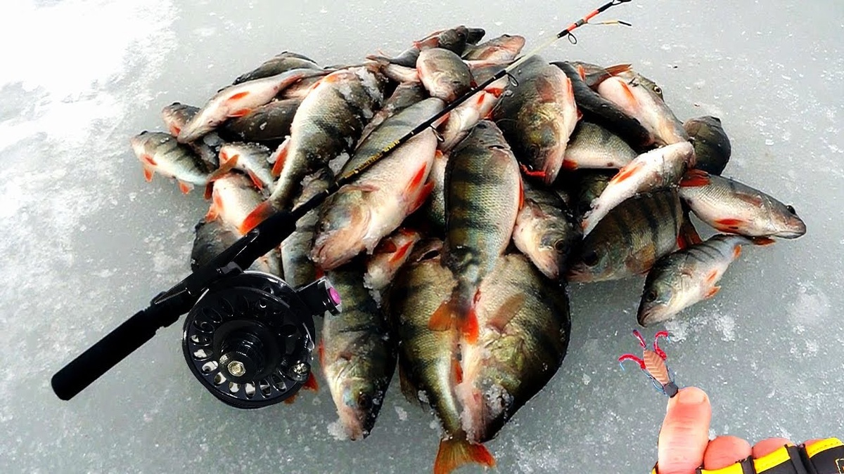 Фото взято с Яндекса.