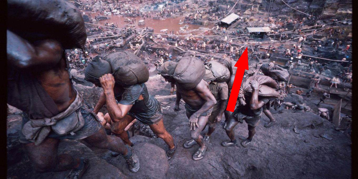    Жадность привела к трагедии