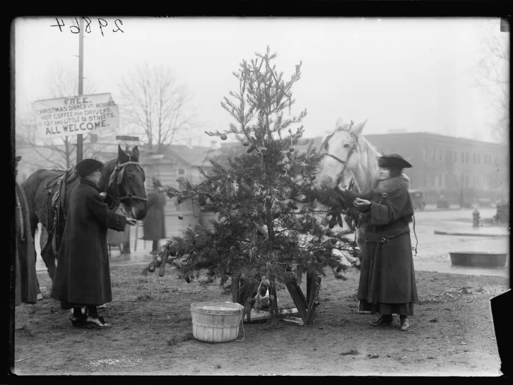 Рождественская елка для лошадей Фотография рождественской ёлки для лошадей в Вашингтоне, округ Колумбия, 1918 год. Харрис и Юинг, отдел гравюр и фотографий Библиотеке Конгресса.