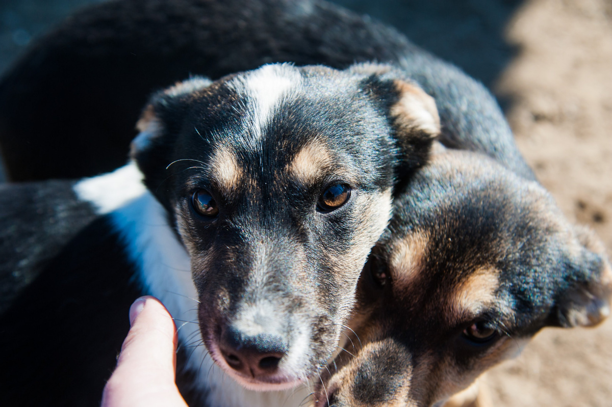 © Фото: ИД «Волгоградская правда» / архив