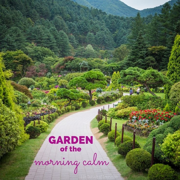 "Сад утреннего спокойствия" (фото из открытых источников в интернете) 