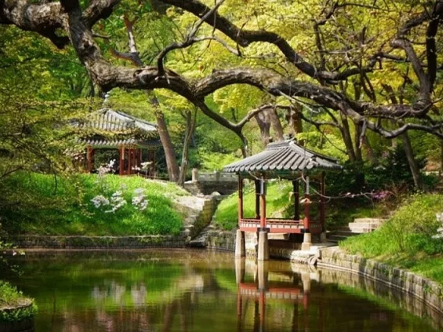 Умиротворение в каждом вдохе и взгляде (фото из открытых источников в интернете) 