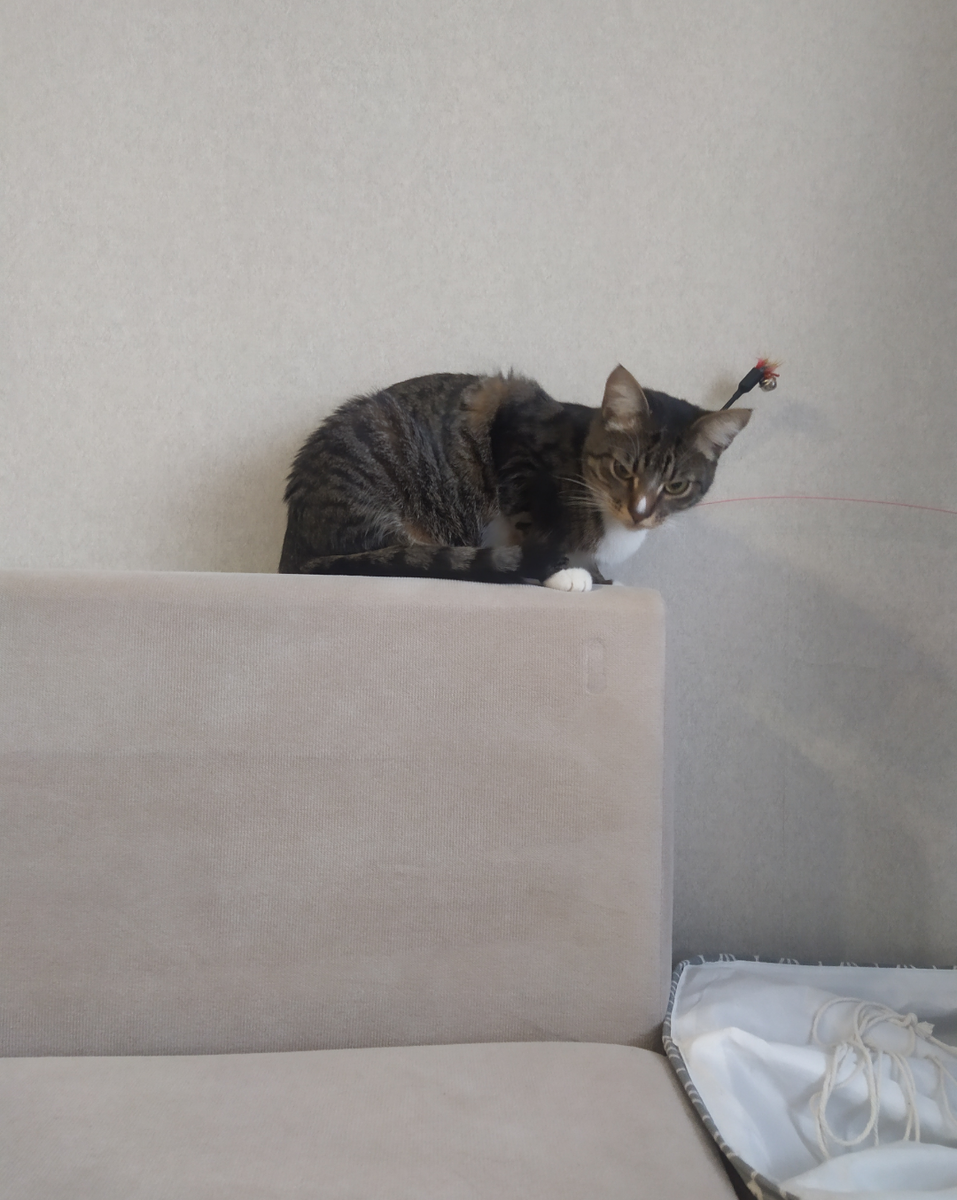 Злюшка-массажистка 