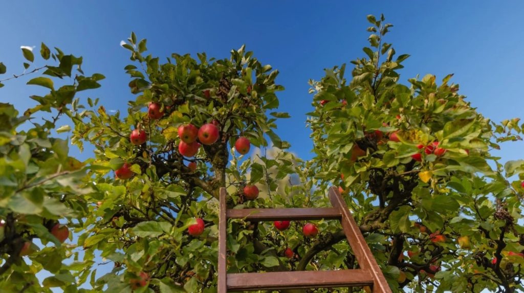 Фото из архива