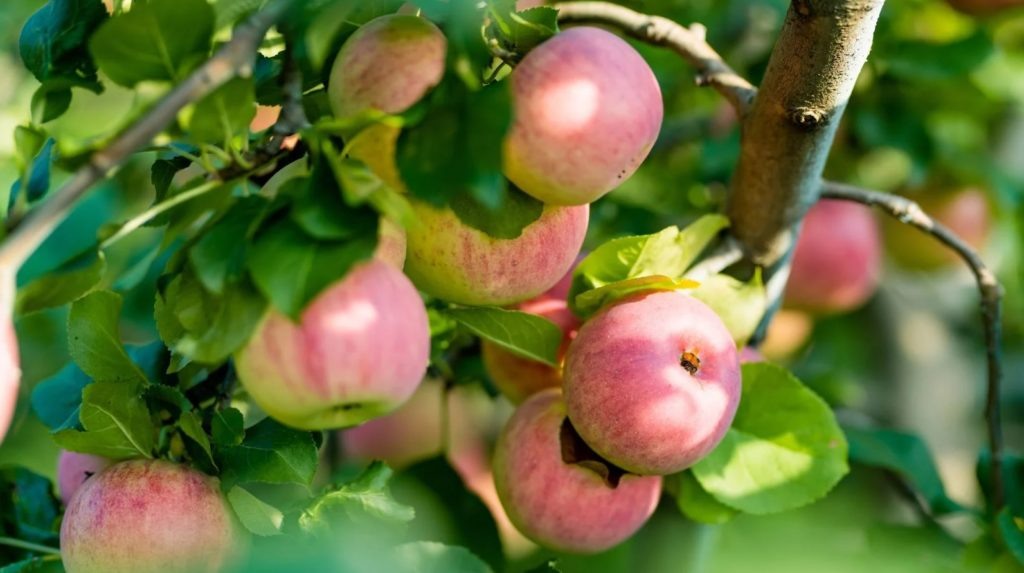 Фото из архива