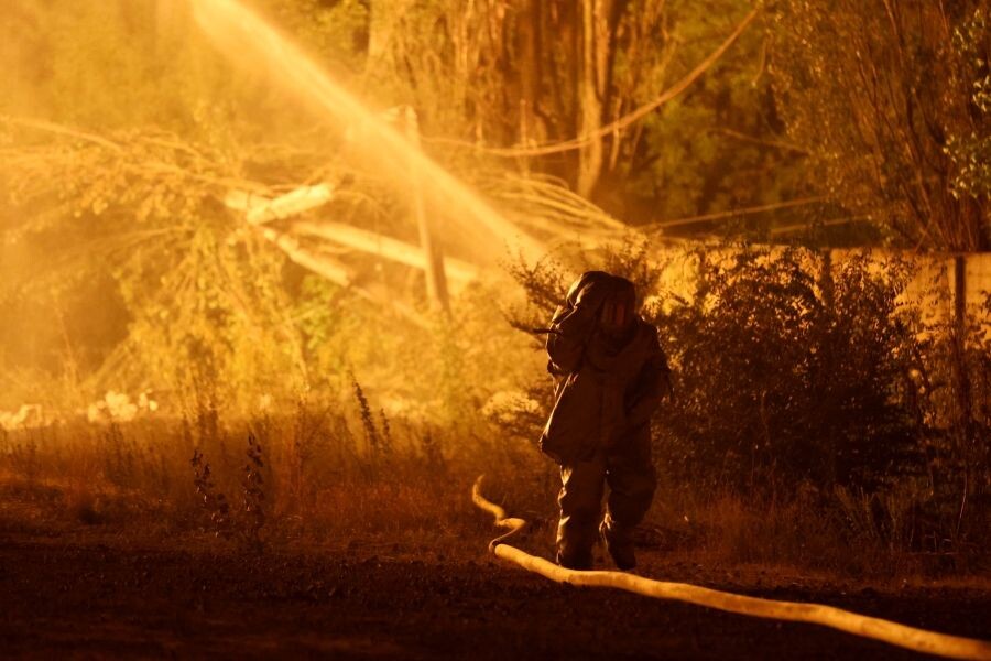     / Источник: © Сергей Аверин/РИА Новости