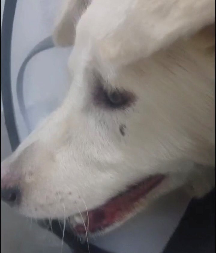 Пепел на приеме у врача