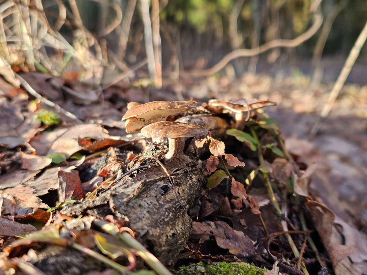 Все фотографии сделаны 19 января 2025 года. Листайте галерею