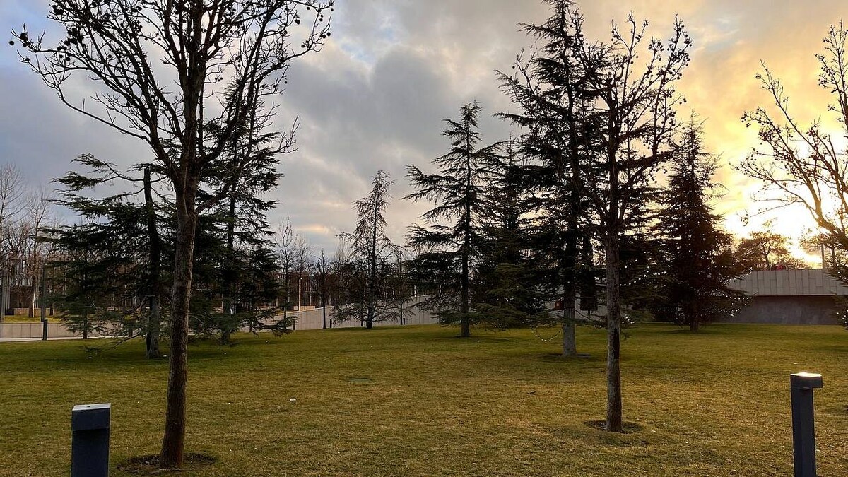    Фото: телеканал «Краснодар»