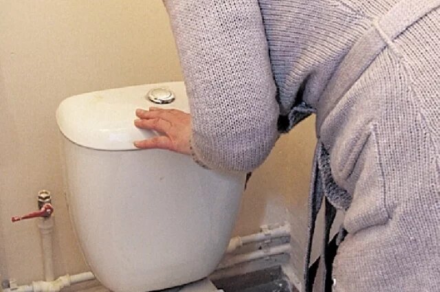    Что в Петербурге чаще всего смывают в унитаз?