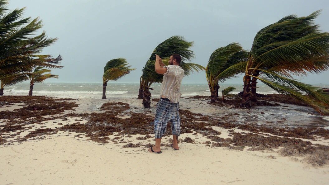    Фото: E]Roberto Guzman/Globallookpress