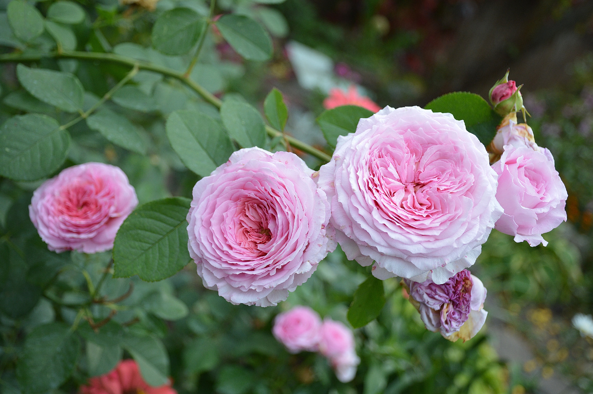 25 сентября 2023