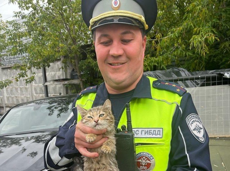    Telegram-канал ГИБДД Москвы Анастасия Давыдова