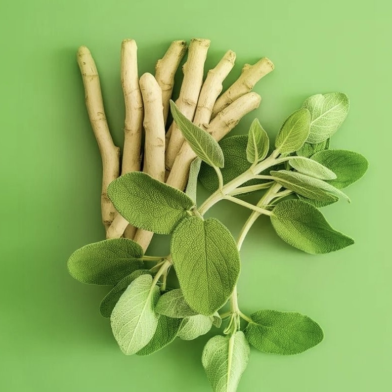 Ашваганда – это вечнозеленый кустарник, произрастающий в Азии и Африке. Корни и ягоды кустарника используются в аюрведической медицине.