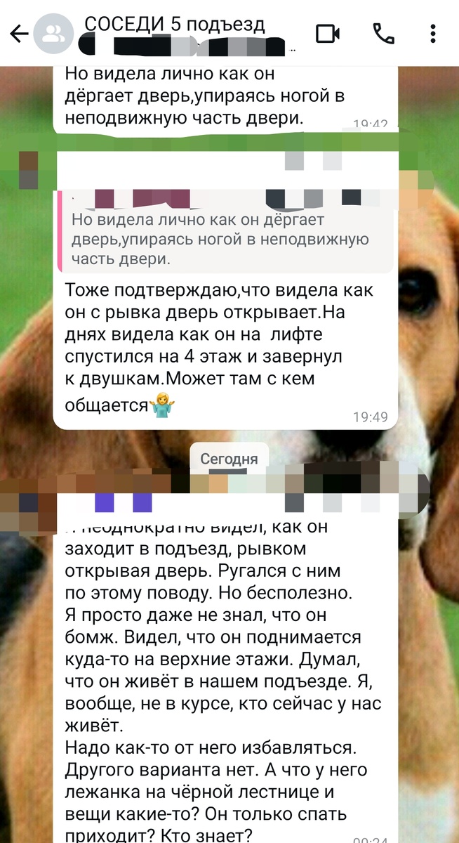 Скриншот из чата, переписка про бомжа