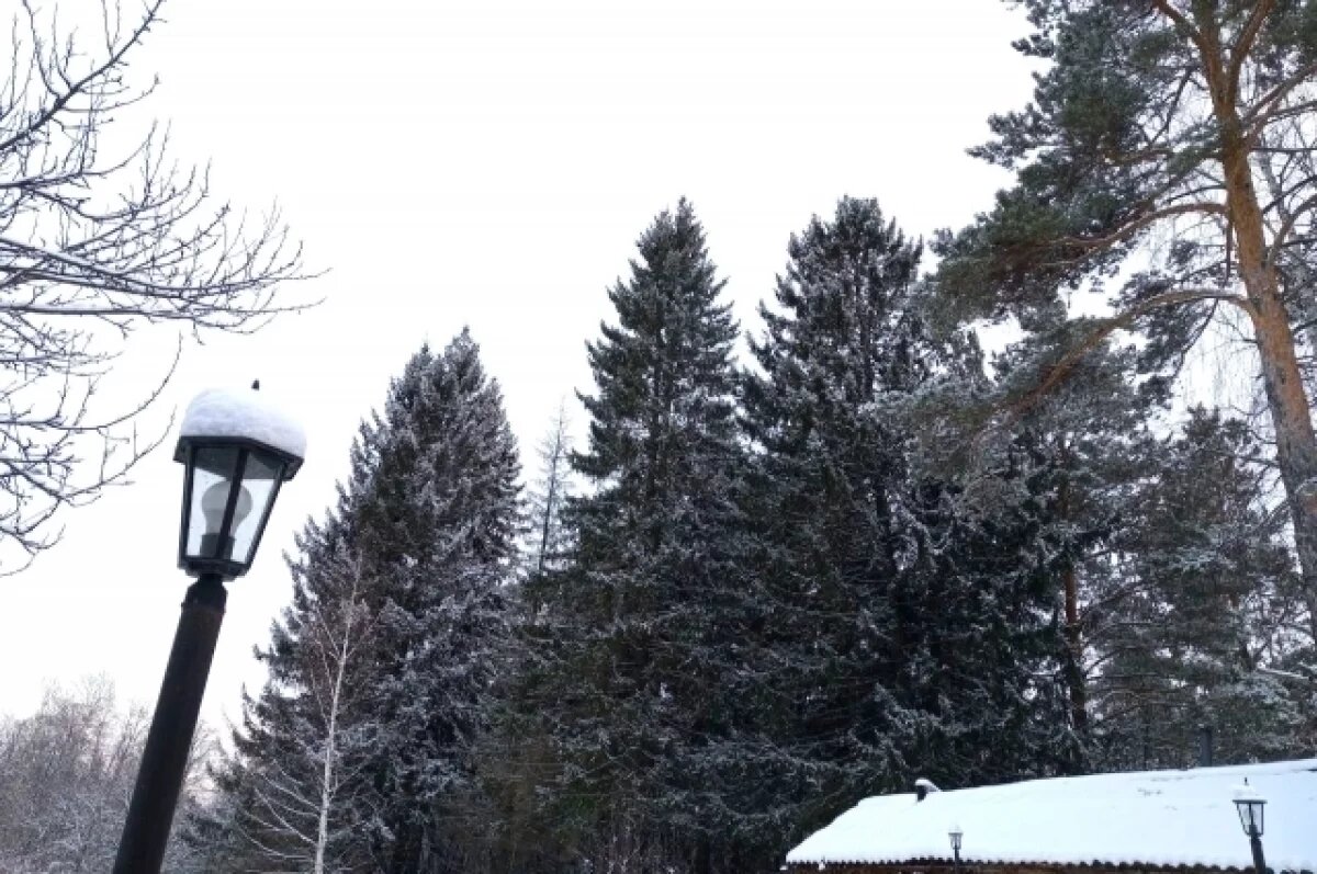    Жителям Новосибирска перечислили приметы в Емельянов день 21 января