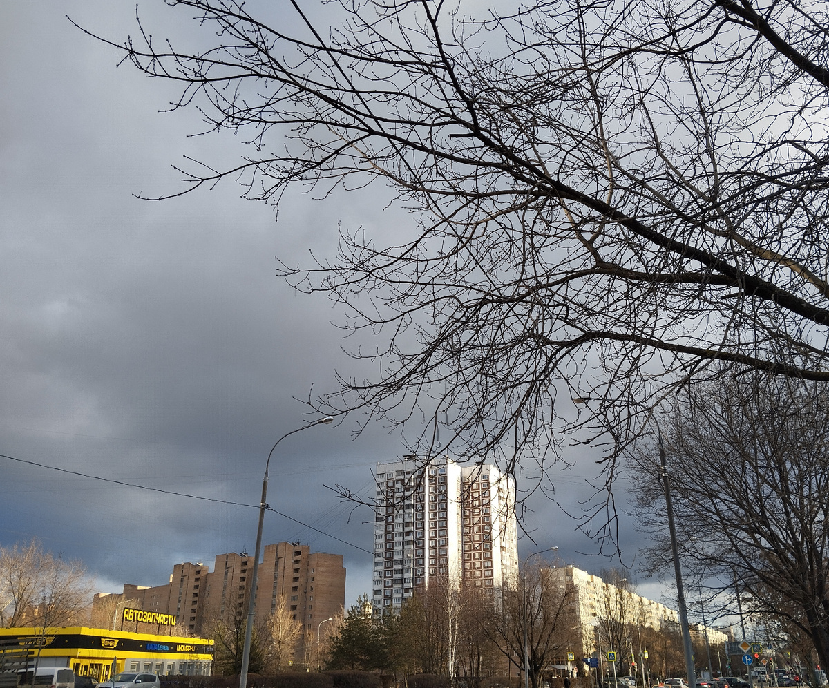Январь в Отрадном. Улица Декабристов. 20.01.2025 г, понедельник. Московское время около 15 часов. ЗДЕСЬ и далее фото автора и(или) из личного архива автора, если не указано иначе.
