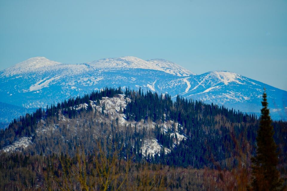    На границе Республики Алтай с Кемеровской областью. Источник: Андрей Сороко/"Толк"