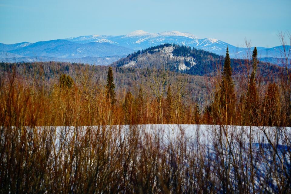    На границе Республики Алтай с Кемеровской областью. Источник: Андрей Сороко/"Толк"