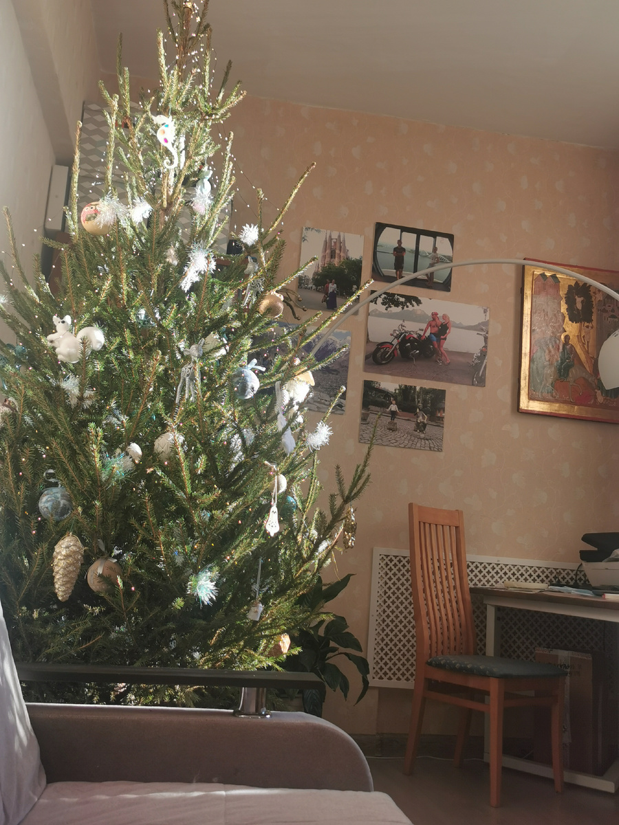 Она думает засохнуть вообще? 