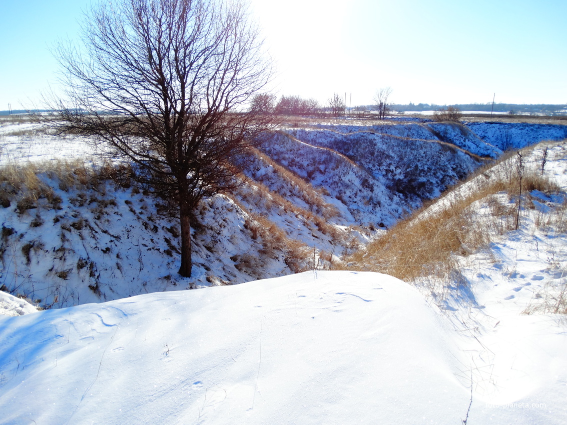 Источник: Яндекс Картинки  