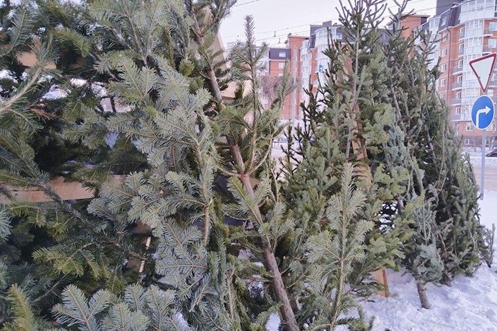 Фото: МО Абакан
