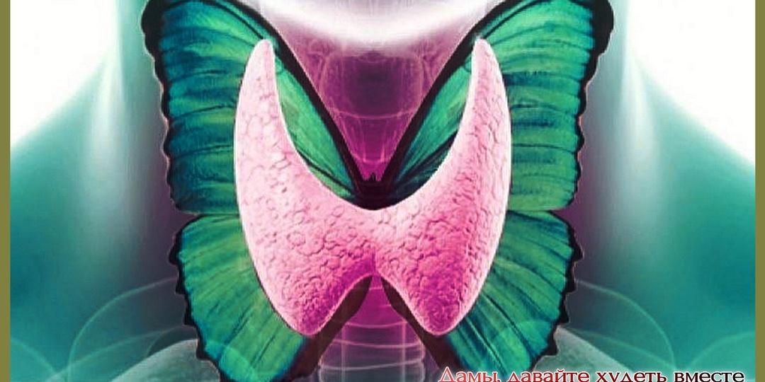 Меню для здоровья щитовидки (часть 2)