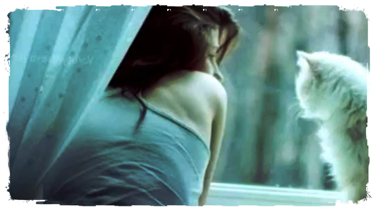 Взято из Яндекс Картинки