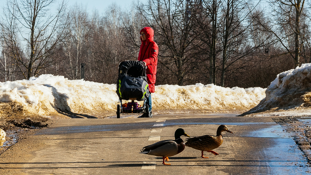    Фото: Roman Denisov/Globallookpress