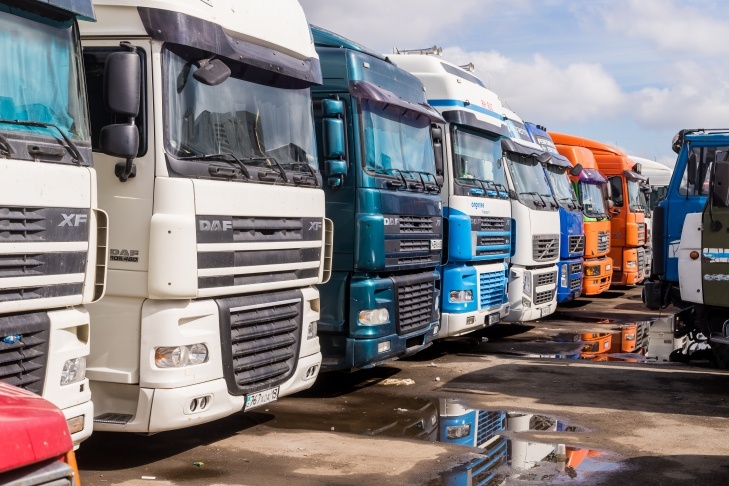    Фото Андрея Заржецкого