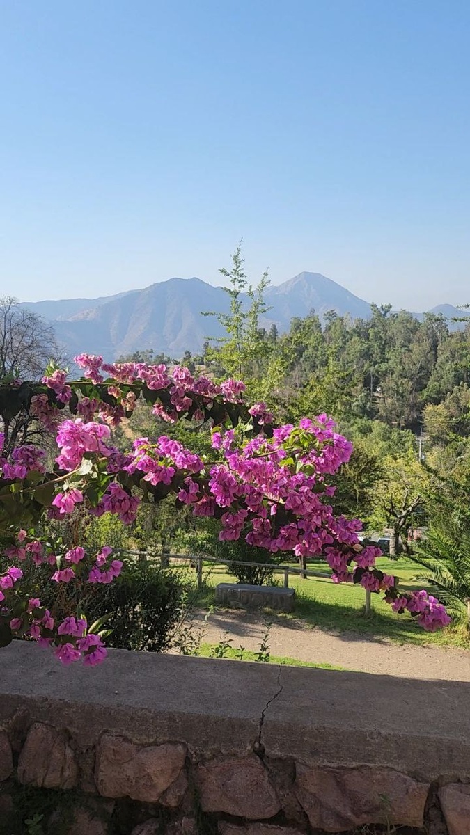 чилийские Анды!