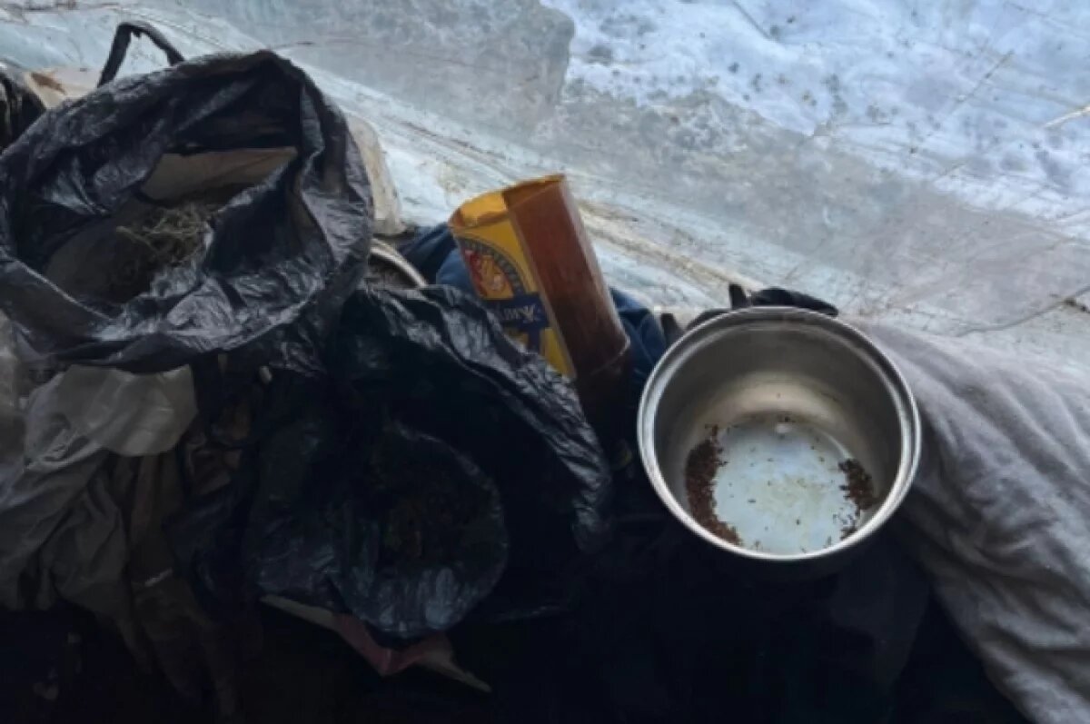    Из-за заготовки впрок урожая из леса задержан мужчина из Хабаровского края