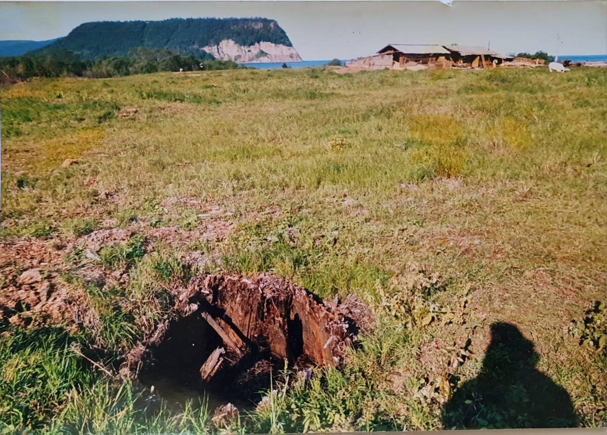 Яма с деревянным чаном для хранения рыбы