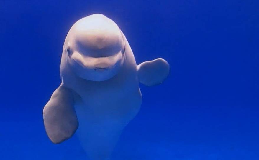    Источник фото: