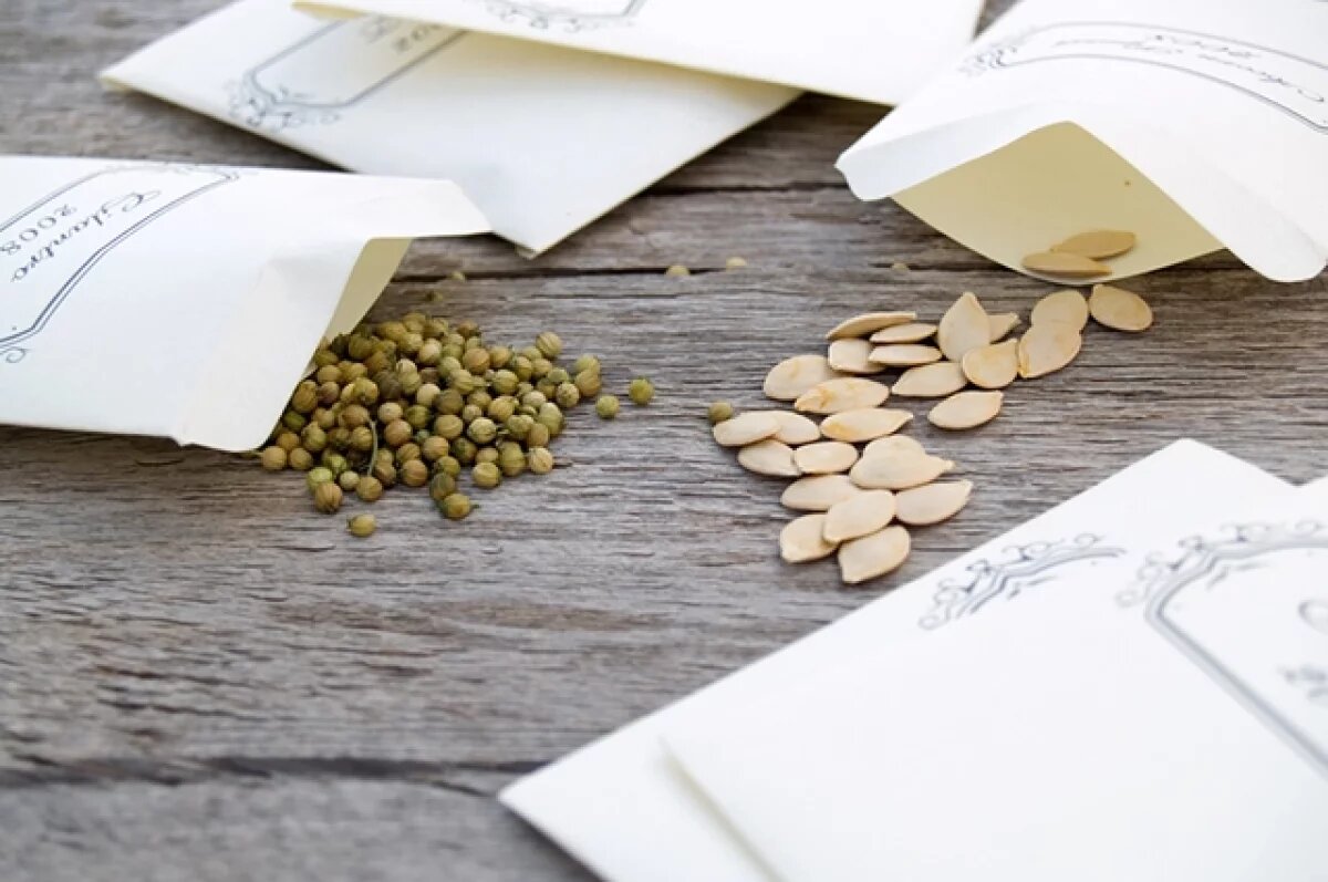    От болезней.