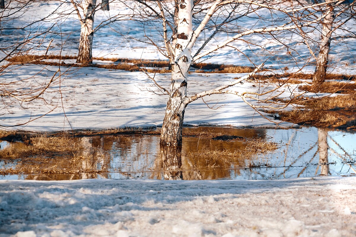 Фото: Shutterstock/FOTODOM