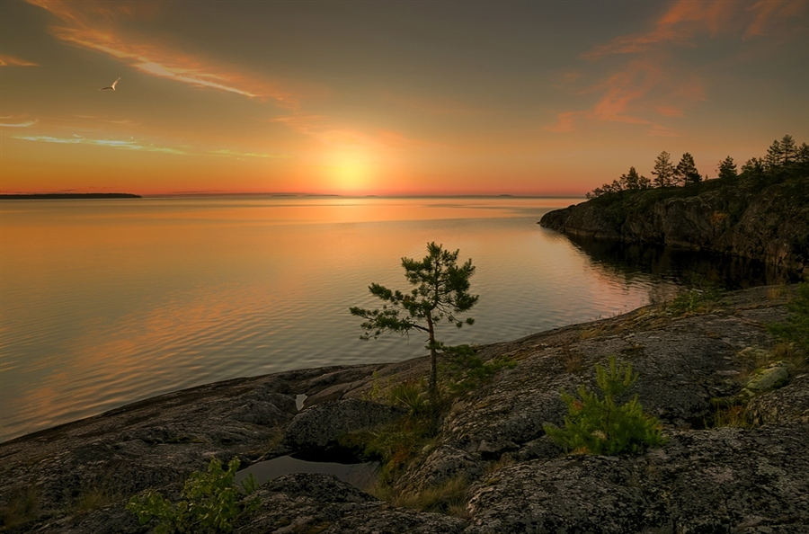 Ладожское озеро. Фото с сайта https://divingempire.net/universal_ozero. Взято с Яндекс.Картинки