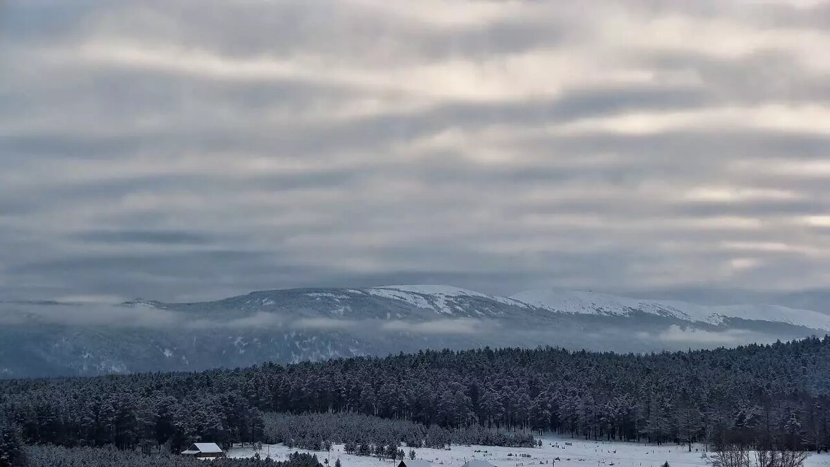     Источник: t.me/zigalga