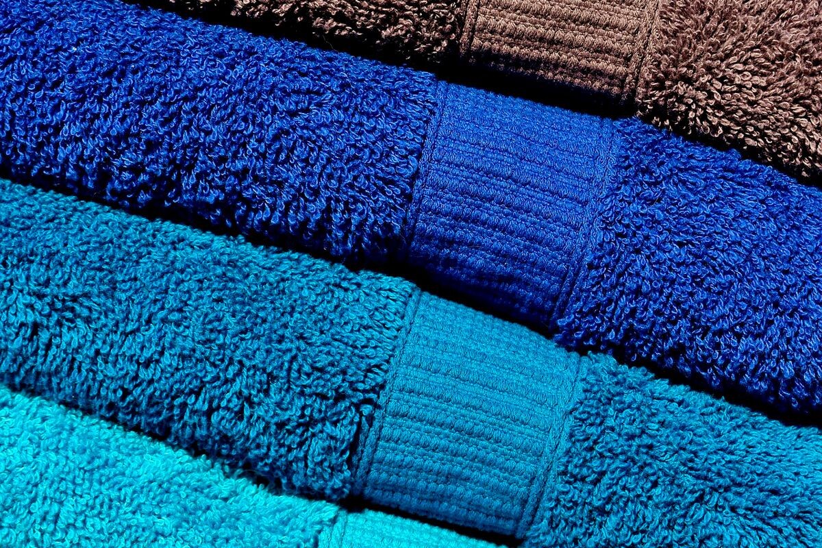    Фото: Alexas_Fotos / Pixabay.com