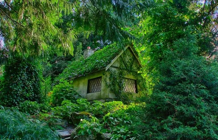 Яндекс картинки