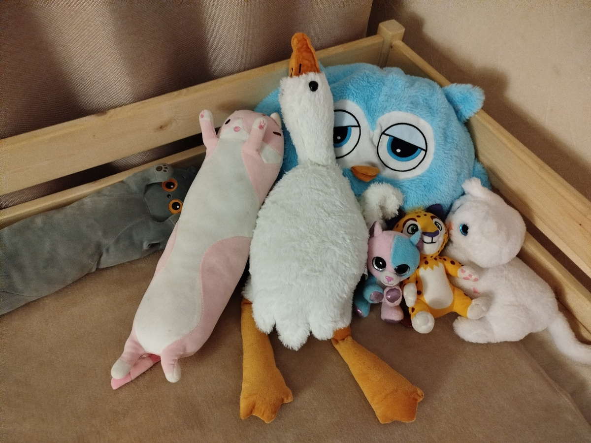 Как ей не тесно спать? Я не знаю🤷😁. Ещё и Мелисса любит ночью куда-нибудь с краю туда примоститься☺️