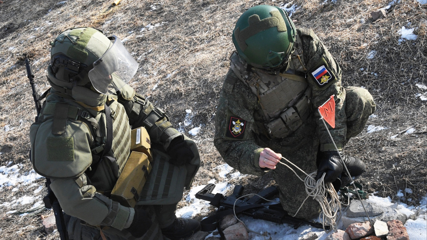    Фото: © РИА Новости/Виталий Аньков; 5-tv.ru