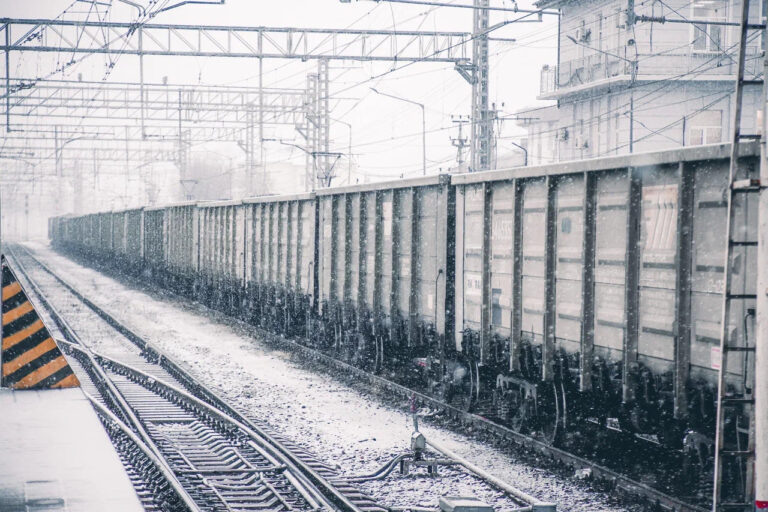    Фото: Общественная Служба Новостей Дарья Федотова