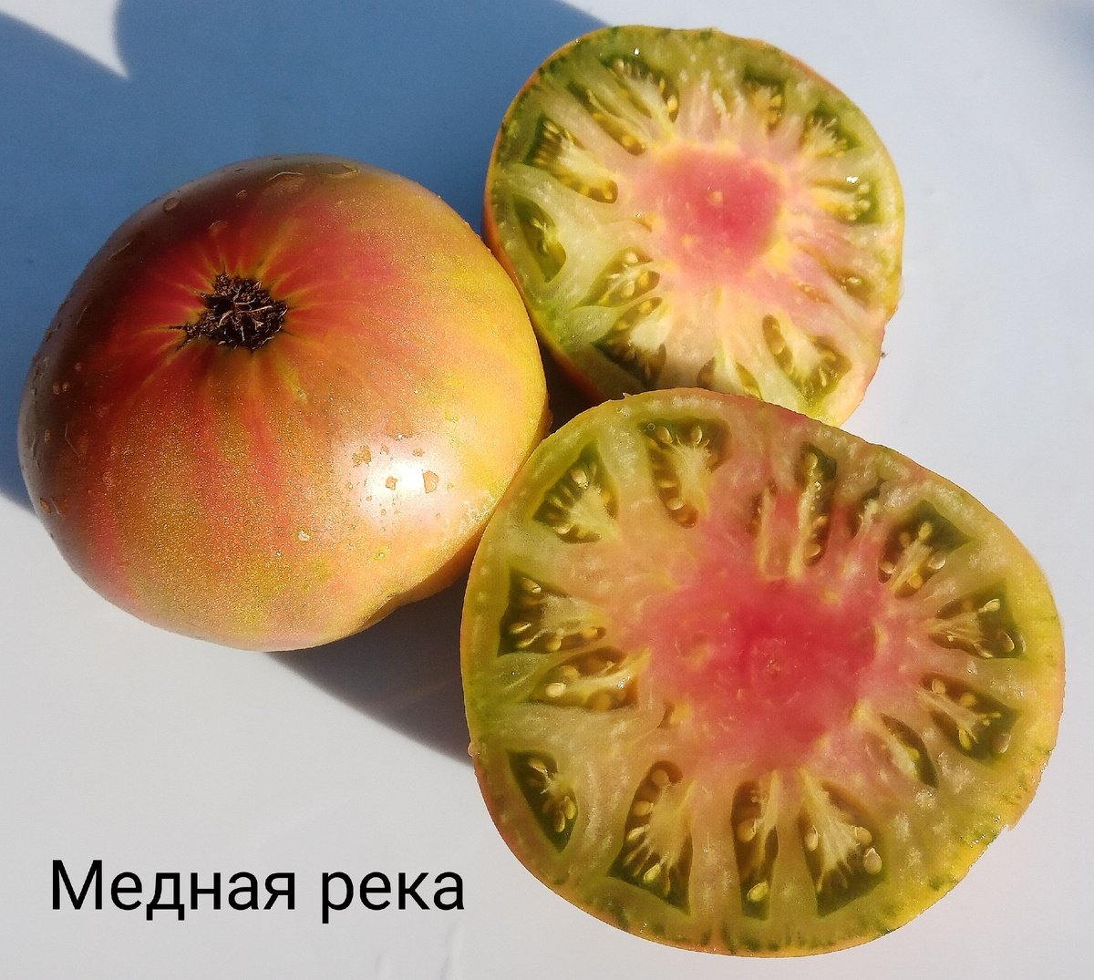 Фото автора.