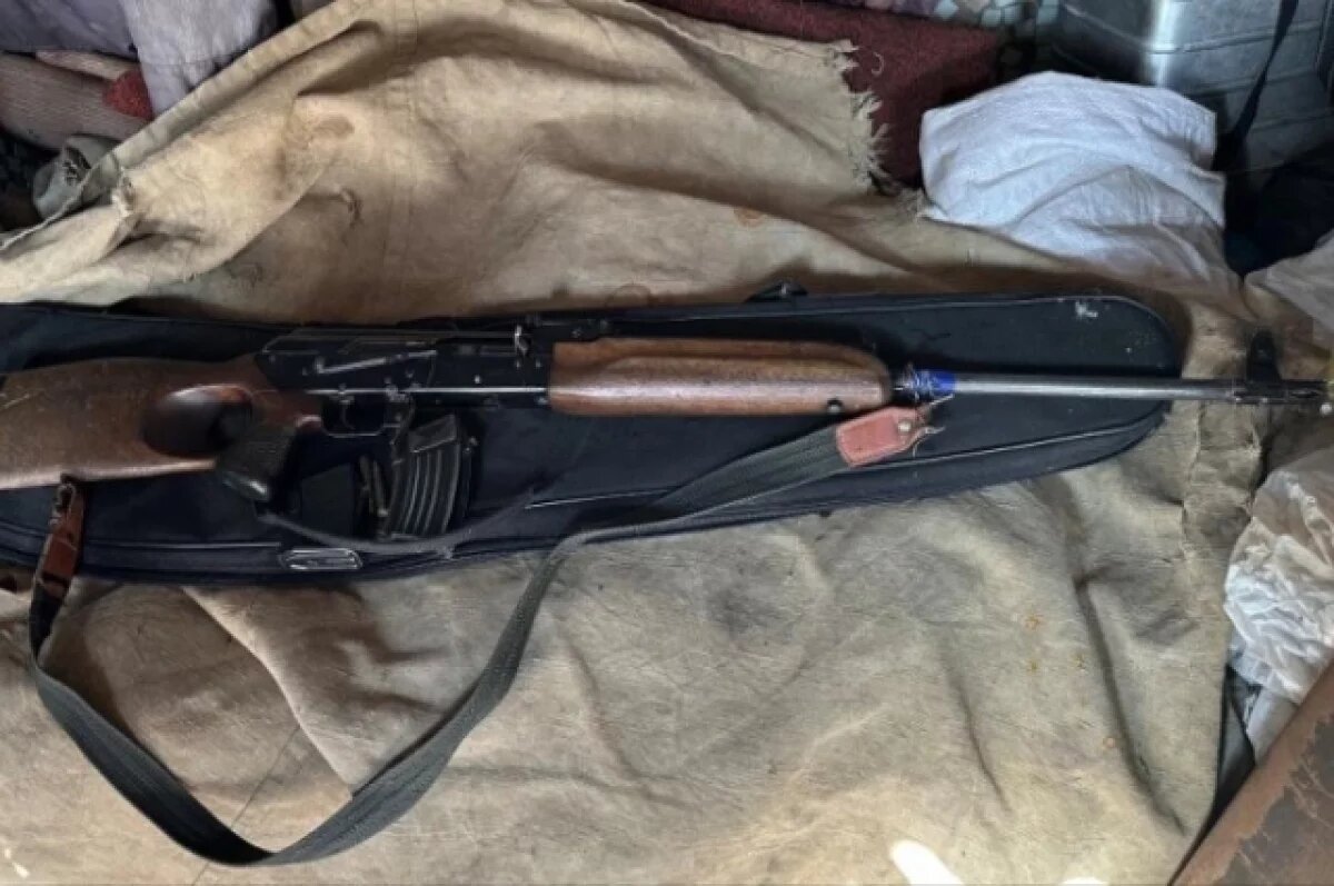    Схрон в лесу и «Сайга» в сарае — в Хабаровском крае изъято оружие