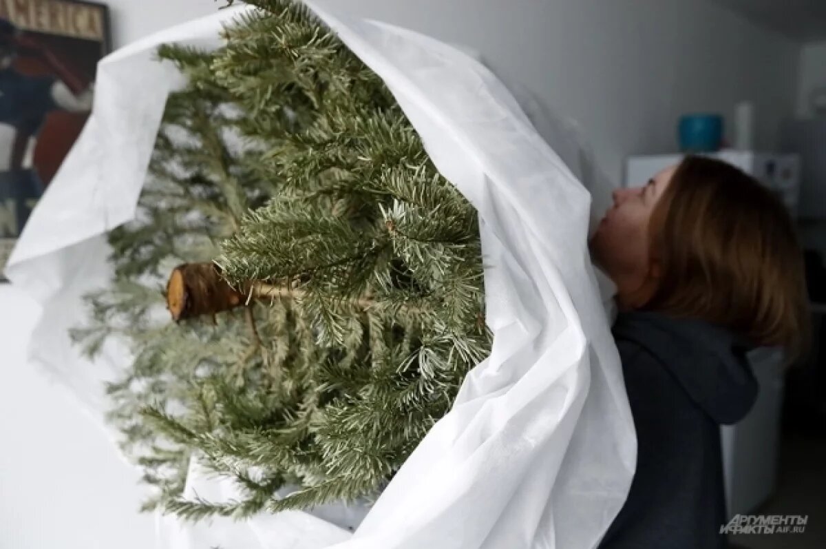    Вторая жизнь.