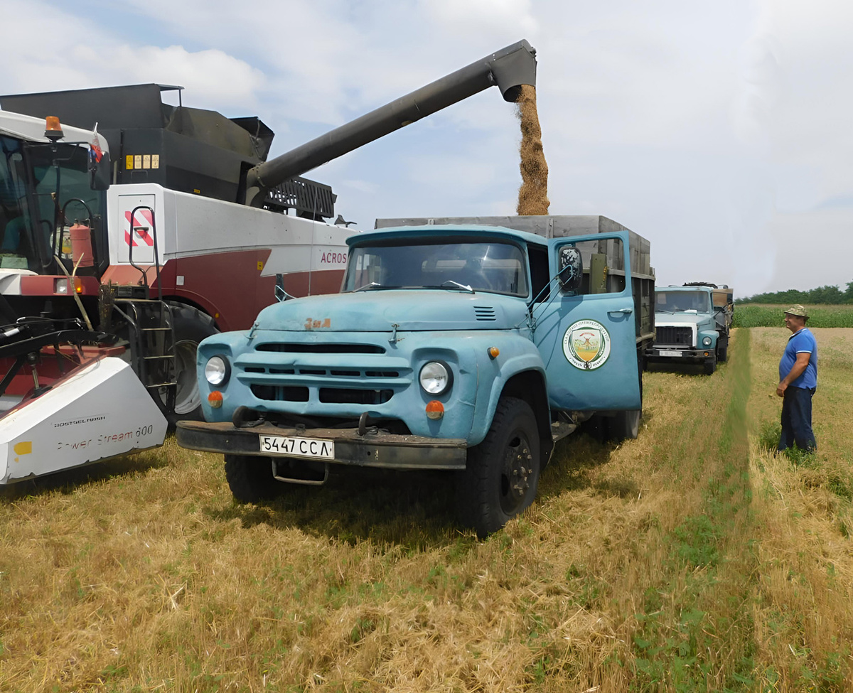 В дни жатвы работа в полях продолжается от рассвета до заката