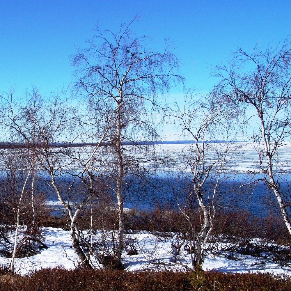 (фото автора)