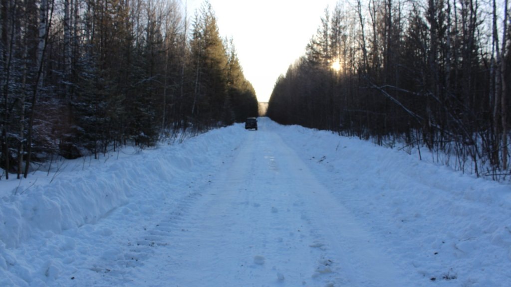    Фото СУ СКР по Свердловской области